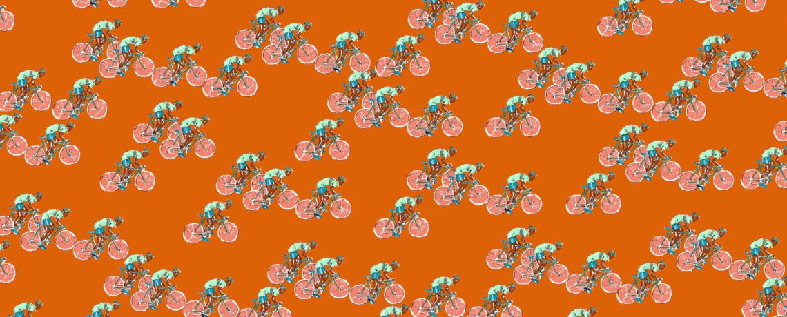 B7362.3 hermes_horizonte_mentajelly SB + CS + PS + CO