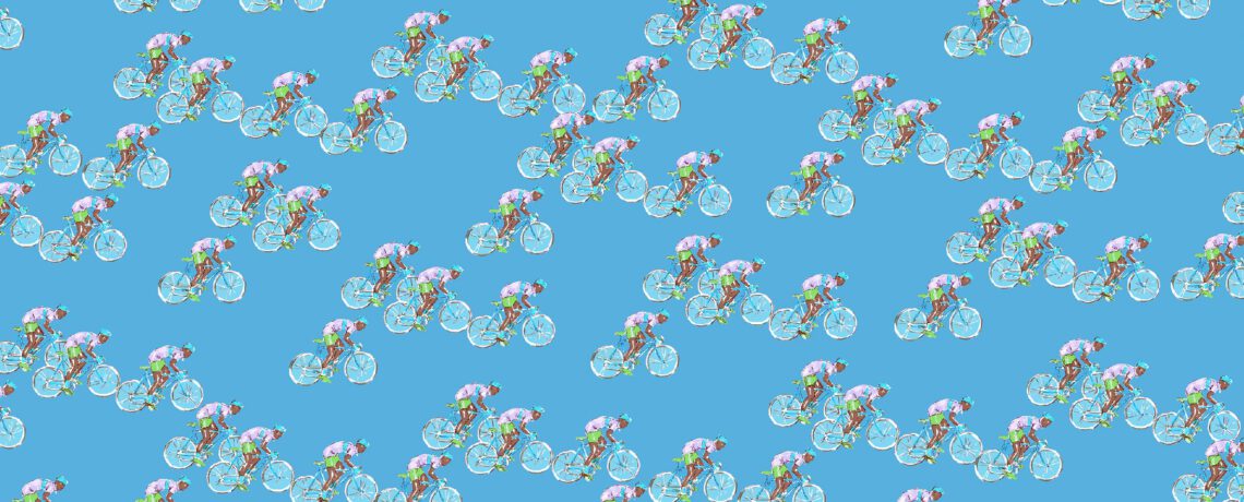 B7362.5 cielo_cosmea_citronella SB + CS