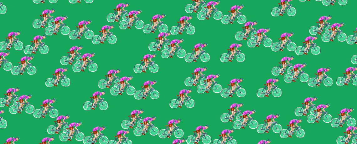 B7362.6 erba_fucsia_canella PS + CO