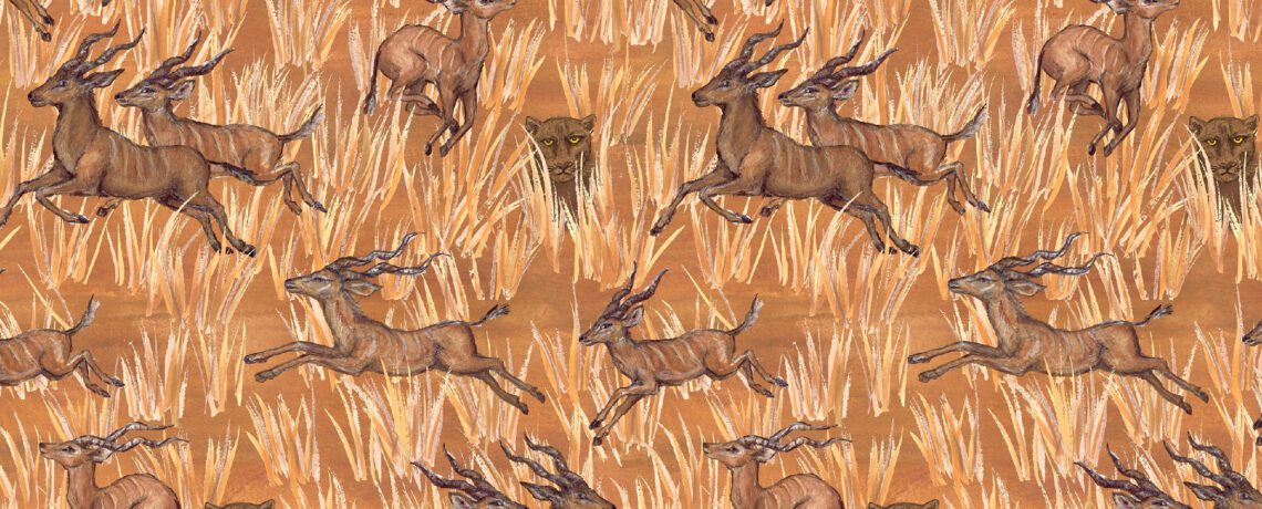 S7608.1 savannah SB + CS + PS + CO