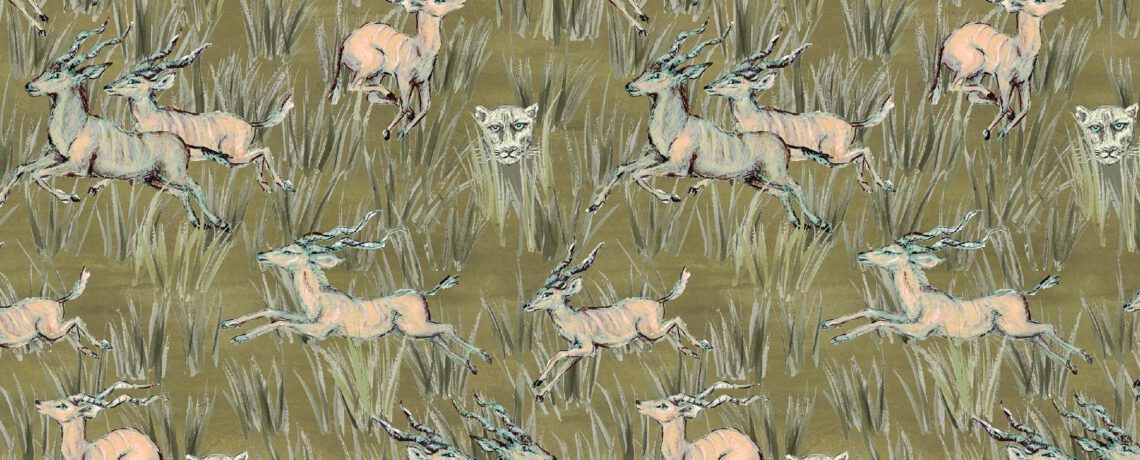 S7608.2. safari SB + CS + PS + CO